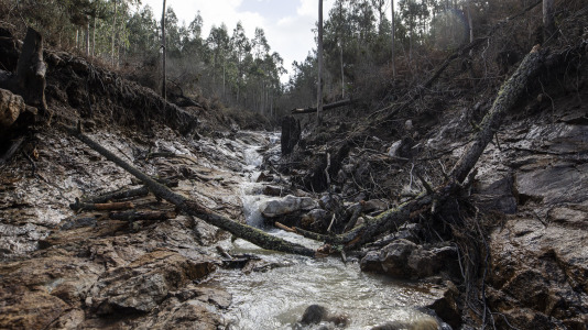 Rotura balsa Monte Neme