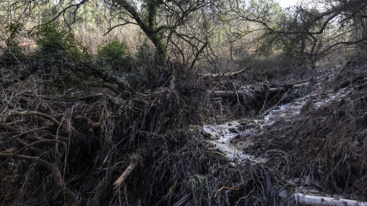 Rotura balsa Monte Neme