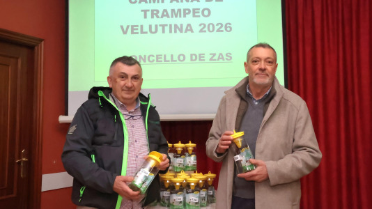 Presentación de la campaña de trampeo de velutinas en Zas