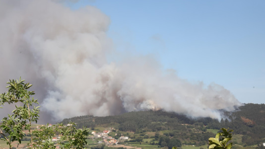 Incendio forestal en Caión (2)