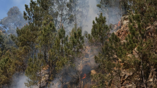 Incendio forestal en Caión (6)