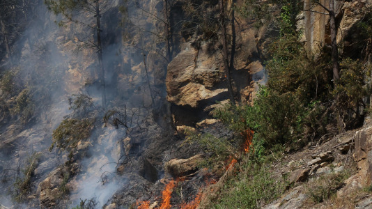 Incendio forestal en Caión (7)