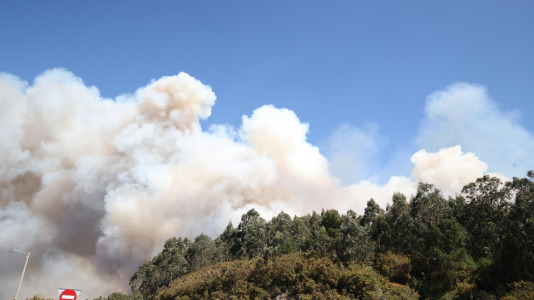 Incendio forestal en Caión (12)