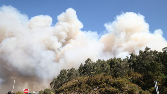Incendio forestal en Caión (13)