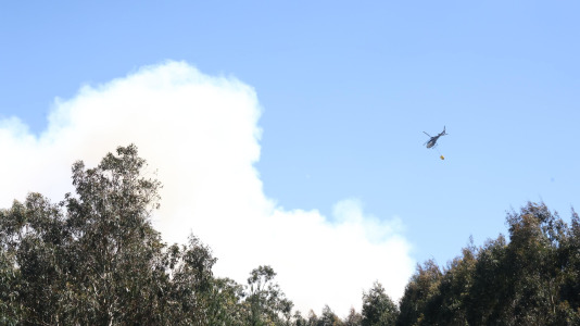 Incendio forestal en Caión (14)
