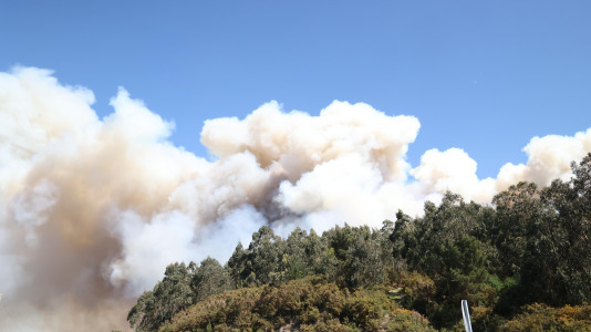 Incendio forestal en Caión (17)