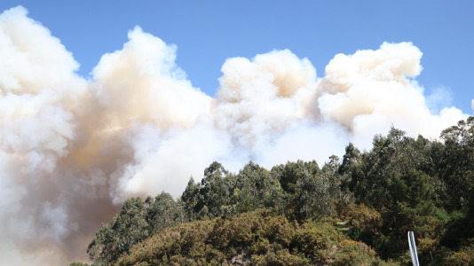 Incendio forestal en Caión (18)