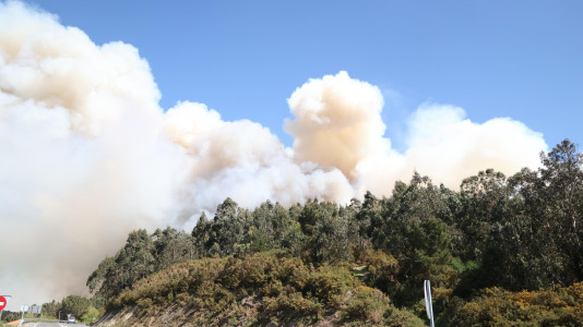 Incendio forestal en Caión (19)