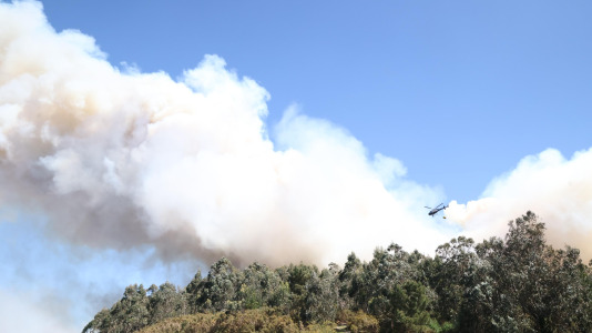 Incendio forestal en Caión (22)