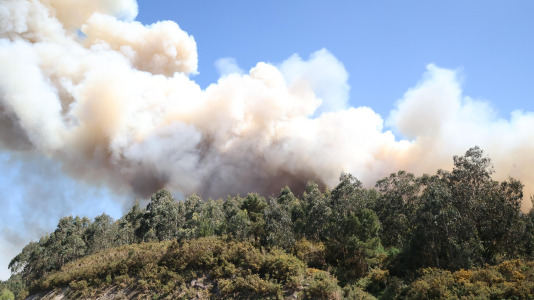 Incendio forestal en Caión (23)
