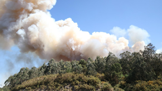 Incendio forestal en Caión (24)