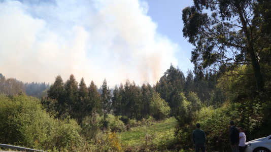 Incendio forestal en Caión (25)