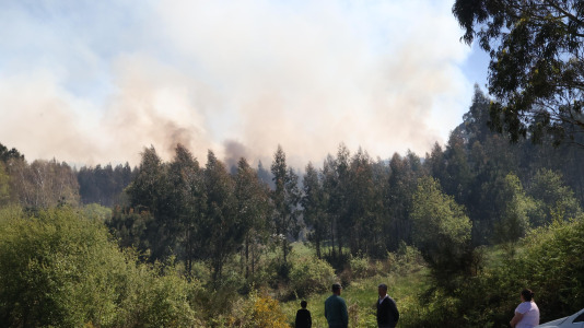 Incendio forestal en Caión (28)