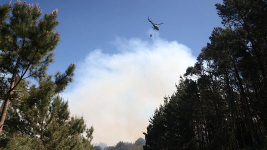 Incendio forestal en Caión (29)