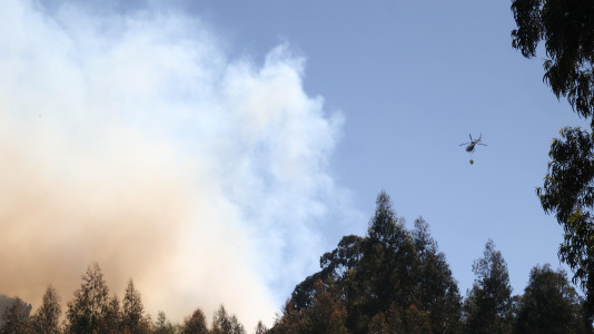 Incendio forestal en Caión (35)