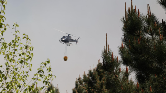 Incendio forestal en Caión (36)