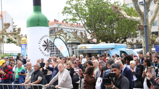 Salida desde Carballo de O Gran Camiño (32)
