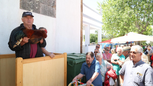 San Adrián da Piña (37)