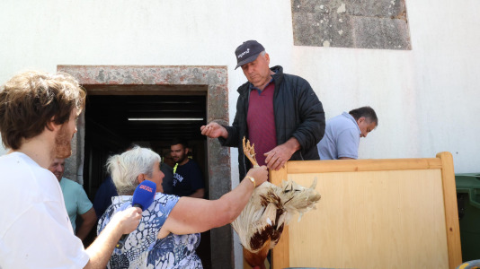 San Adrián da Piña (44)