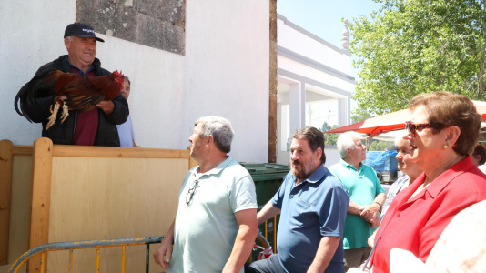 San Adrián da Piña (50)