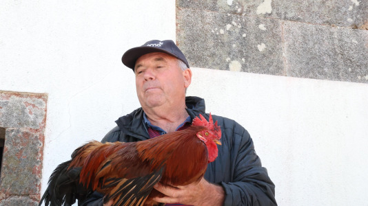 San Adrián da Piña (51)