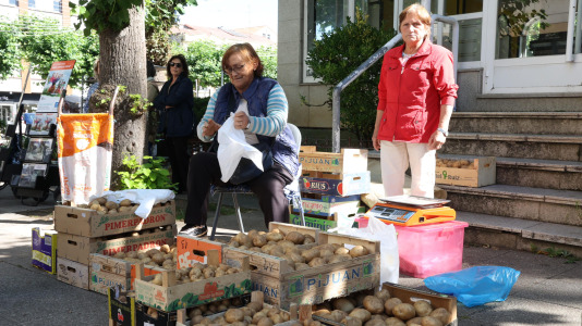 Feria de Carballo (3)