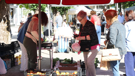 Feria de Carballo (4)