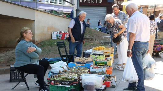 Feria de Carballo (7)