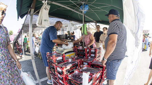 Cientos de personas se volvieron a dar cita este domingo en Paiosaco para disfrutar de la Feira das Cereixas