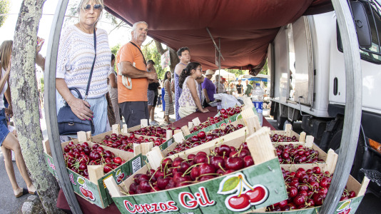 Cientos de personas se volvieron a dar cita este domingo en Paiosaco para disfrutar de la Feira das Cereixas