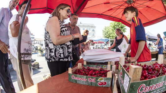 Cientos de personas se volvieron a dar cita este domingo en Paiosaco para disfrutar de la Feira das Cereixas