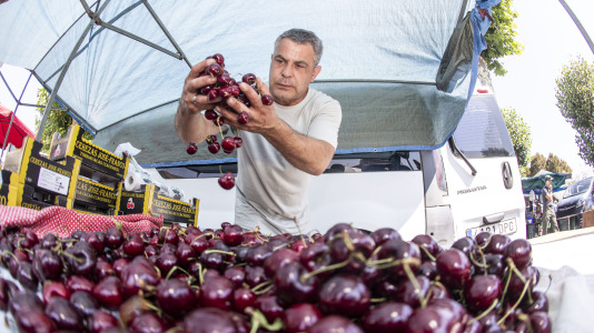 Cientos de personas se volvieron a dar cita este domingo en Paiosaco para disfrutar de la Feira das Cereixas