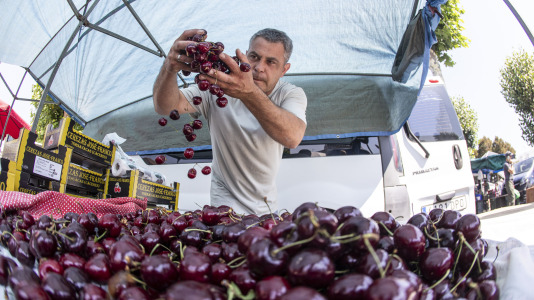 Cientos de personas se volvieron a dar cita este domingo en Paiosaco para disfrutar de la Feira das Cereixas