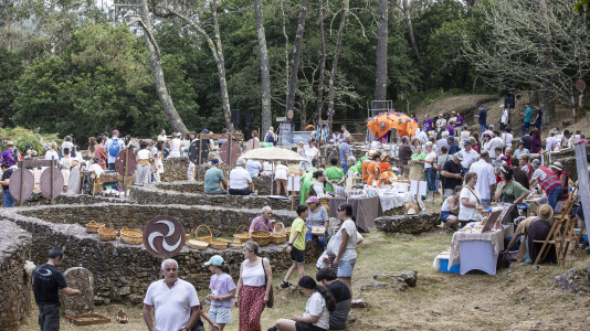 Castro animado de Borneiro (38)