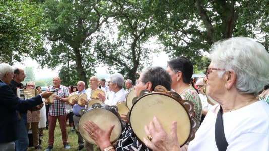 romeria montemaior 2026 (28)