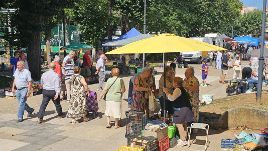 Feria de Carballo, este jueves (1)